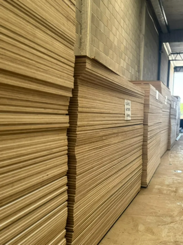 Imagen de WhatsApp 2025-11-14 a las 13.40.34_0d2da46e.webp